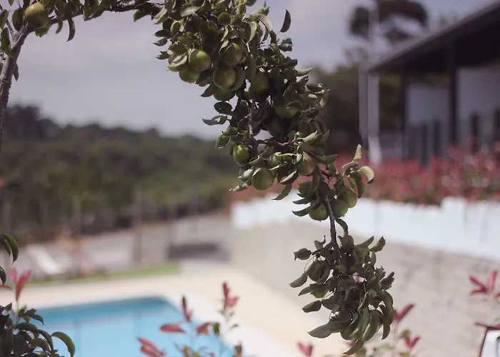 Madera Y Mar Apartment *